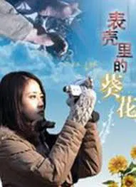 【记录片】表壳里的葵花