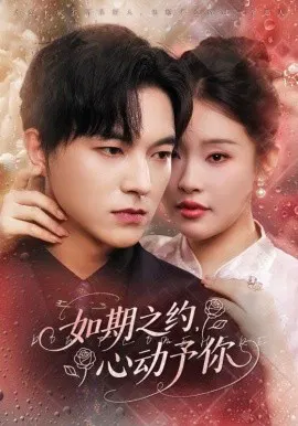 【短剧】如期之约，心动予你
